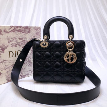 Dior Bag