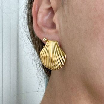 Seashell Earrings